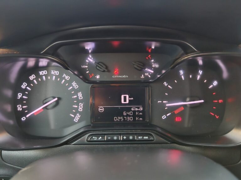 CITROEN C3 GRIGIA GT289NY USATO OLBIA (23)