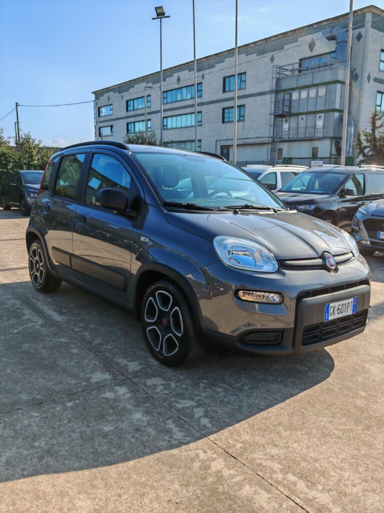 FIAT PANDA GK601PT USATO OLBIA (18)