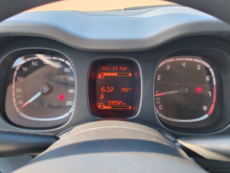 FIAT PANDA GK601PT USATO OLBIA (20)