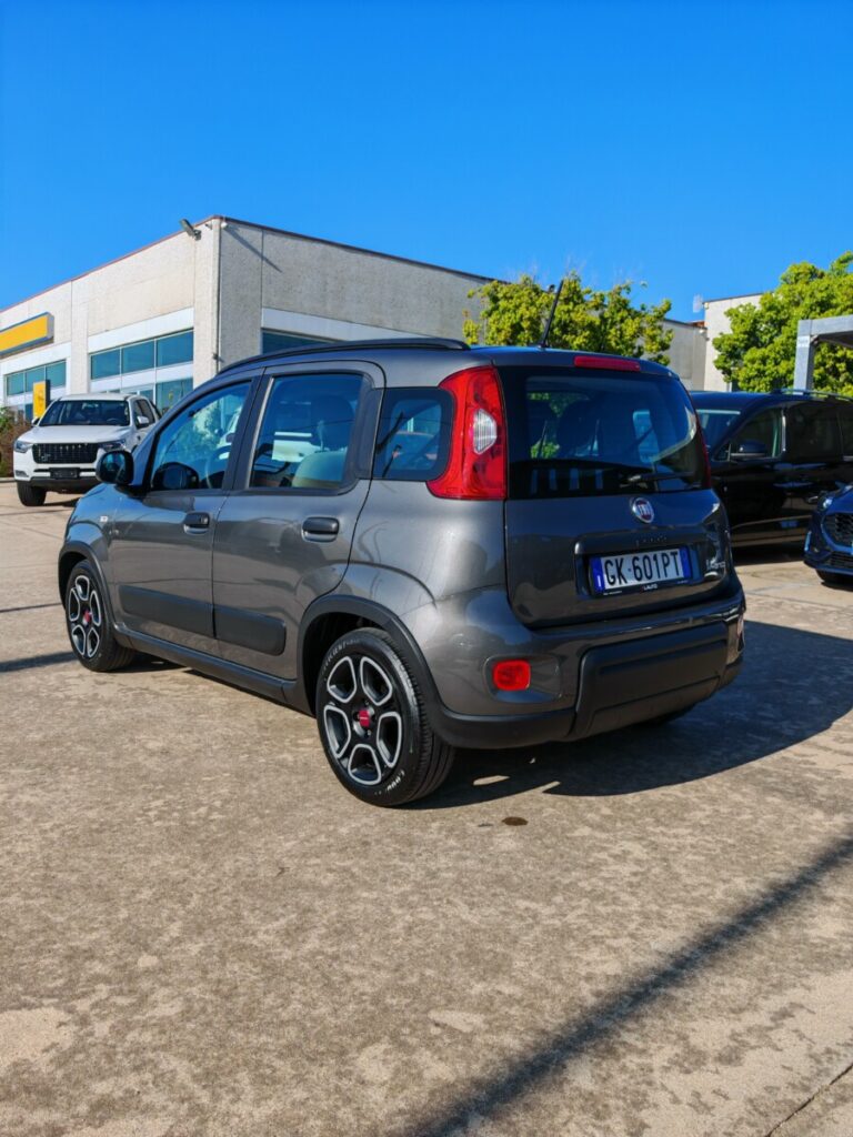 FIAT PANDA GK601PT USATO OLBIA (5)