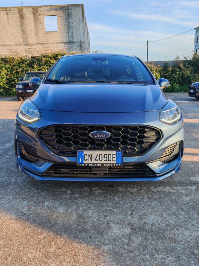 FORD FIESTA AUT GN409DE USATO OLBIA (1)