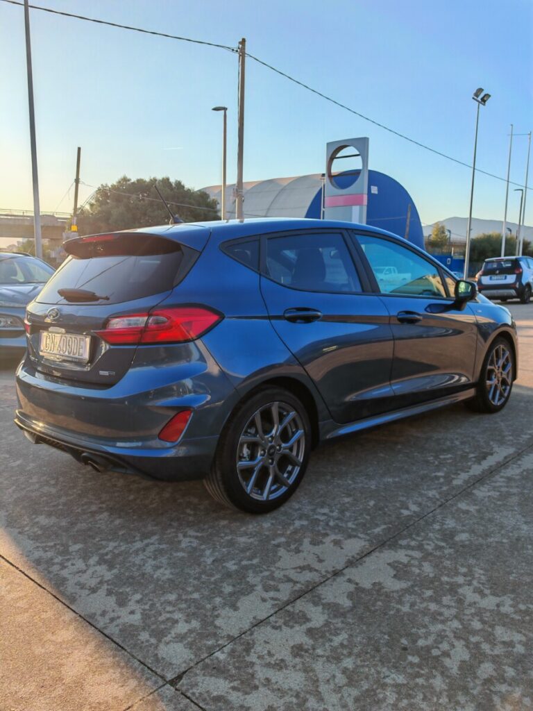 FORD FIESTA AUT GN409DE USATO OLBIA (13)