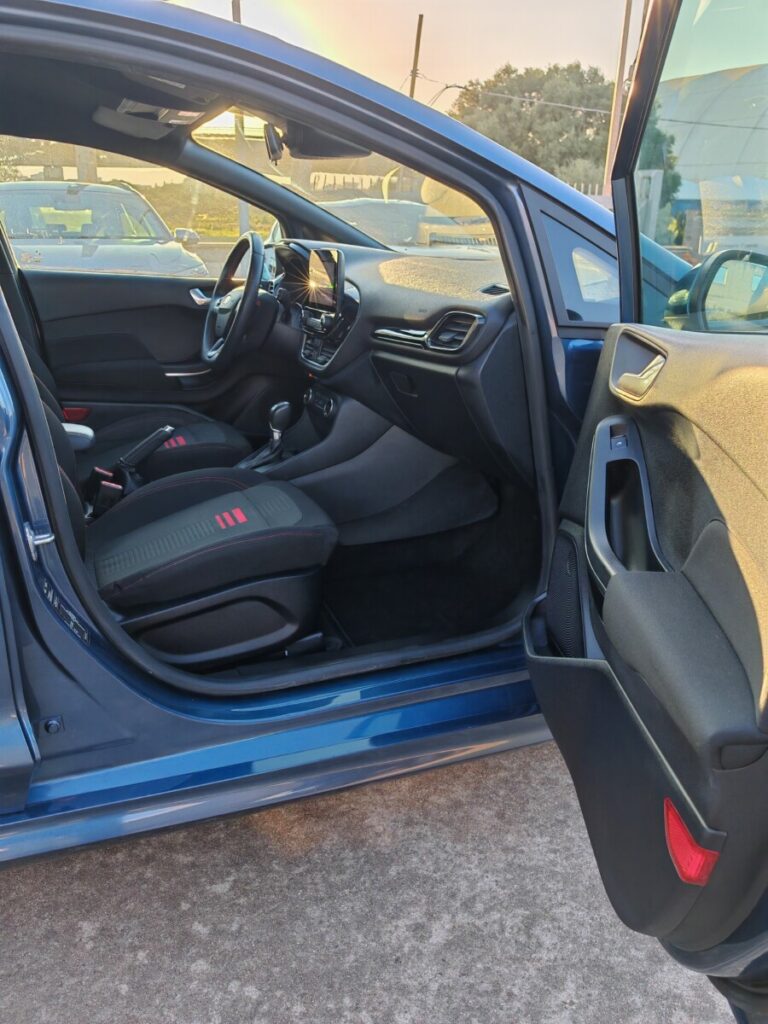 FORD FIESTA AUT GN409DE USATO OLBIA (15)