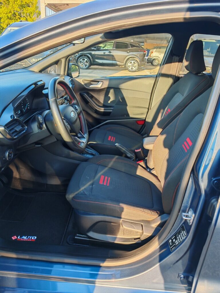 FORD FIESTA AUT GN409DE USATO OLBIA (19)