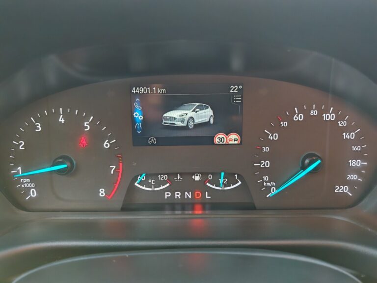 FORD FIESTA AUT GN409DE USATO OLBIA (24)