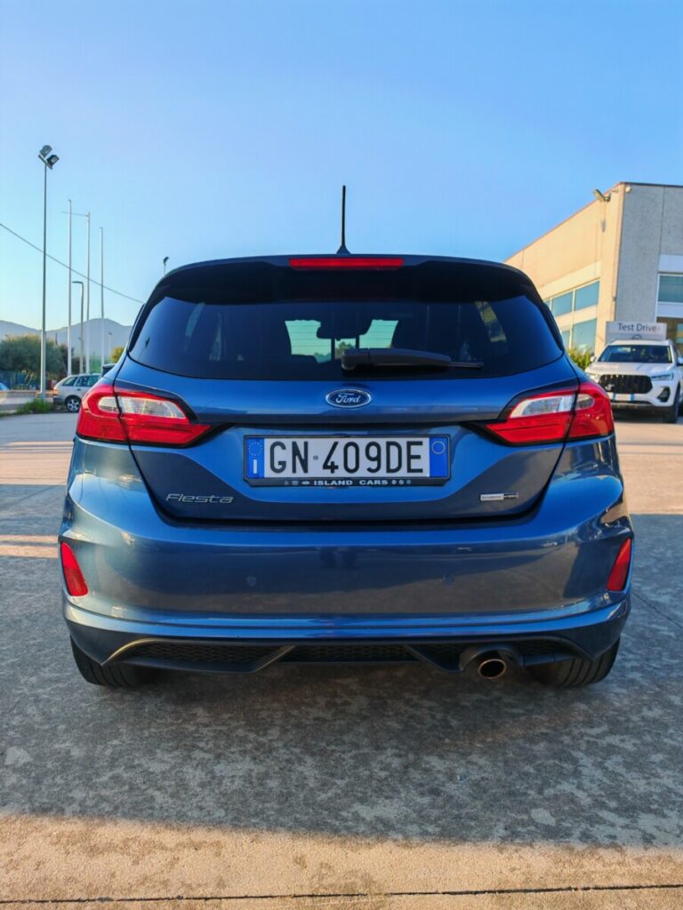 FORD FIESTA AUT GN409DE USATO OLBIA (6)