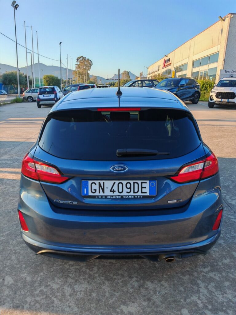 FORD FIESTA AUT GN409DE USATO OLBIA (7)