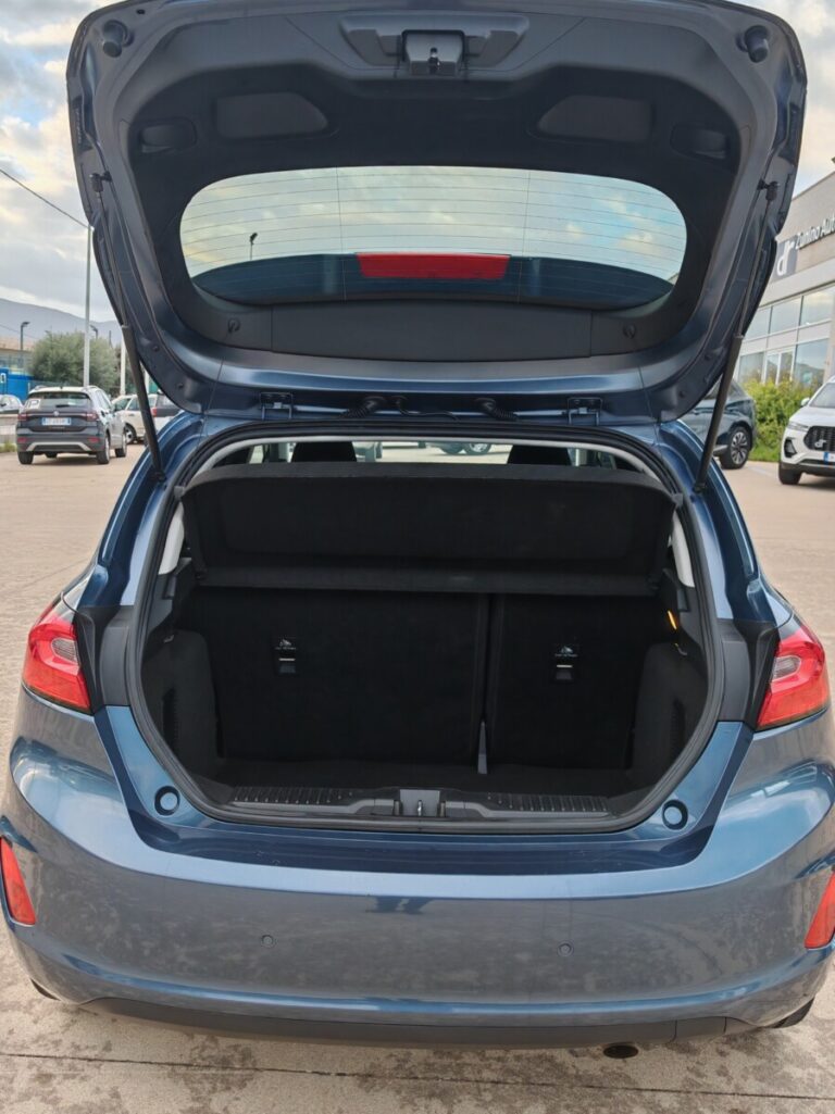 FORD FIESTA TITANIUM GN572SR USATO OLBIA (12)