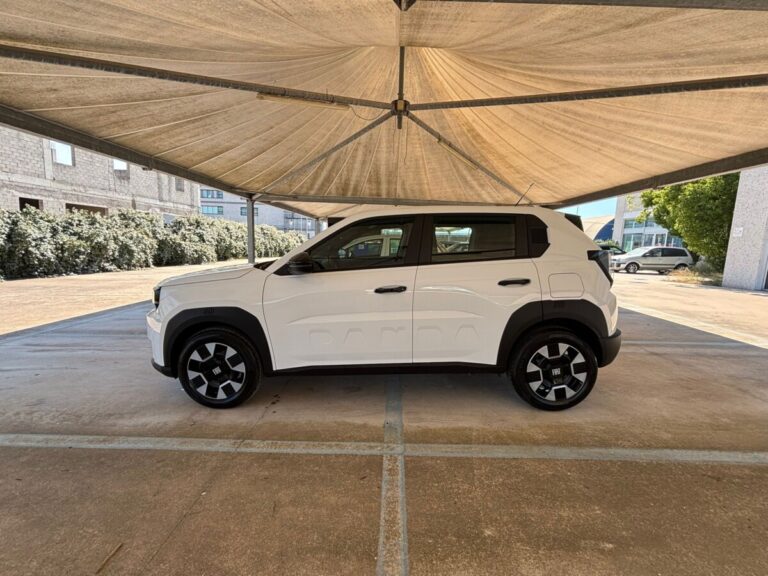 GRANDE PANDA USATO OLBIA BIANCO (14)
