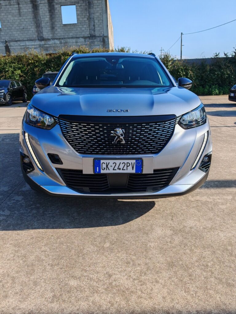 PEUGEOT 2008 GRIGIA GK242PV USATO OLBIA (1)