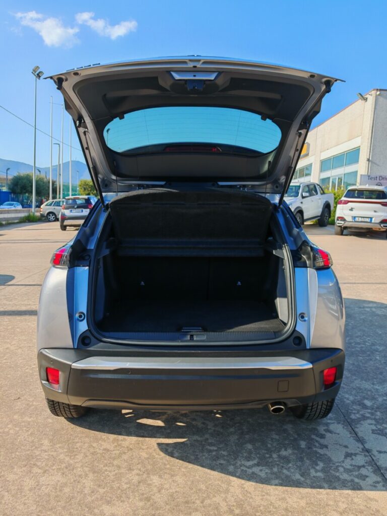 PEUGEOT 2008 GRIGIA GK242PV USATO OLBIA (10)