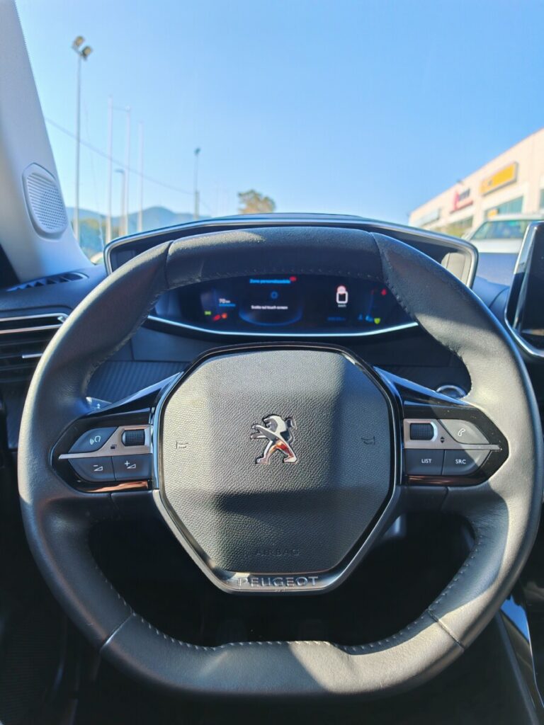 PEUGEOT 2008 GRIGIA GK242PV USATO OLBIA (28)