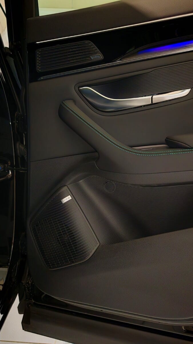 USATO BYD OLBIA NERA DETTAGLIO PORTA