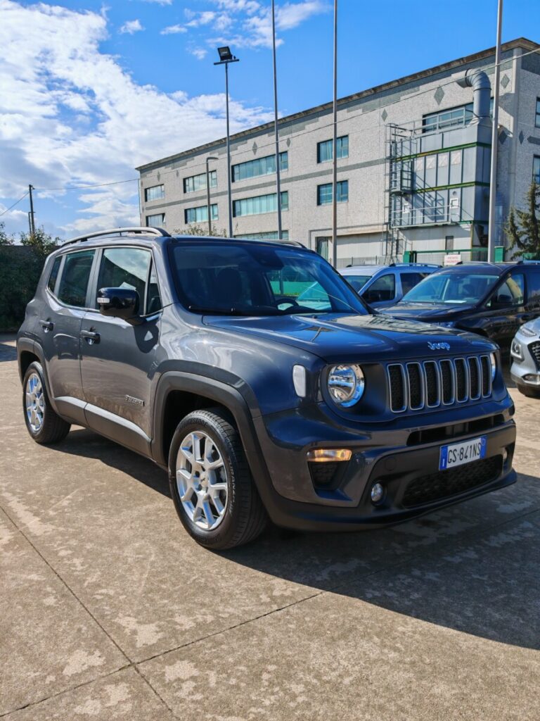 VDRIVE JEEP RENEGADE USATO OLBIA (10)