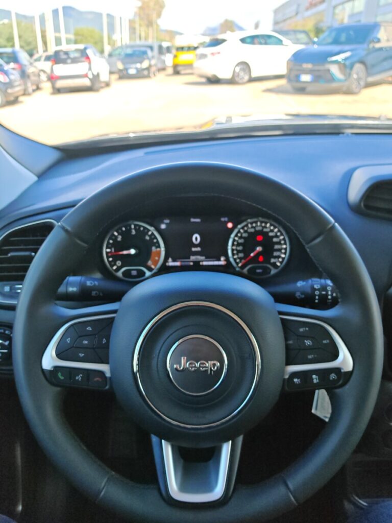VDRIVE JEEP RENEGADE USATO OLBIA (27)